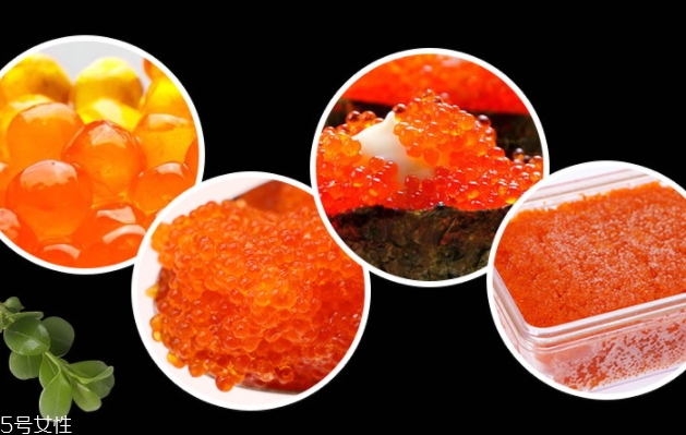 飛魚籽是什么魚的籽？壽司美味的秘訣