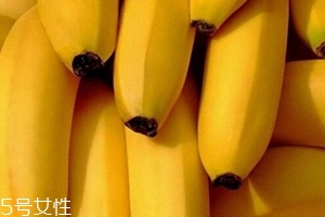 仙人蕉多少錢一斤？