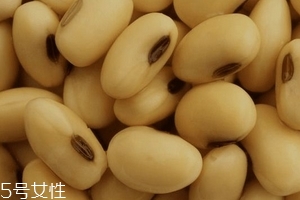 卵磷脂通乳嗎？這個還不一定