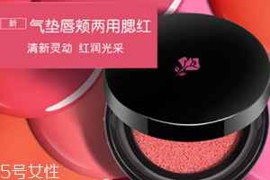 2018氣墊腮紅哪個(gè)牌子好？