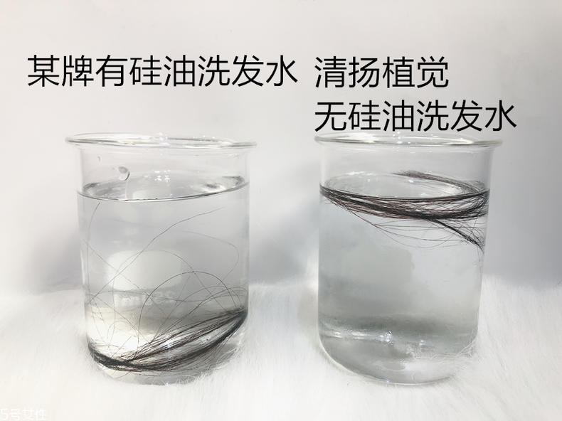清揚0硅油洗發(fā)水好用嗎？自帶高級感香調(diào)