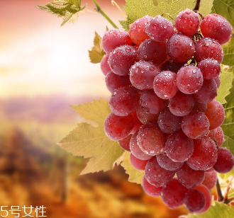 葡萄籽會影響睡眠嗎？這個肯定不會