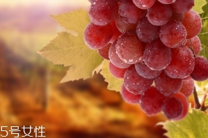 葡萄籽會(huì)便秘嗎？葡萄籽能緩解便秘
