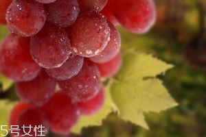 葡萄籽泡水喝有作用嗎？美容保健