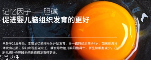 黃金素和dha可以一起吃嗎？