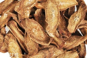 牛蒡茶是什么做的？牛蒡茶是樹(shù)根嗎？