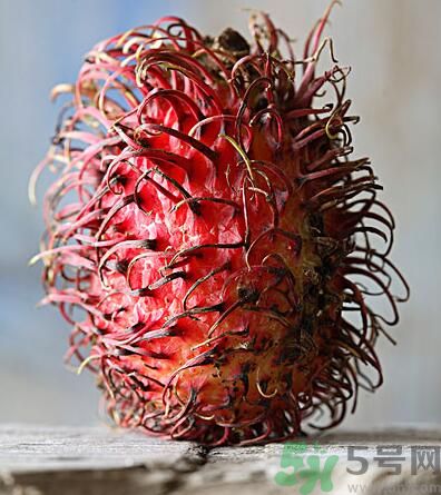 紅毛丹的核能吃嗎？紅毛丹的核可以吃嗎？