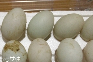 鴨蛋是酸性還是堿性？鴨蛋的性質(zhì)