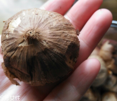 黑蒜的價格多少錢一斤？黑蒜很貴嗎？