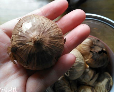 黑蒜的價格多少錢一斤？黑蒜很貴嗎？