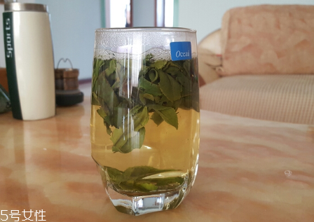 六安瓜片是什么茶？六安瓜片好喝嗎？