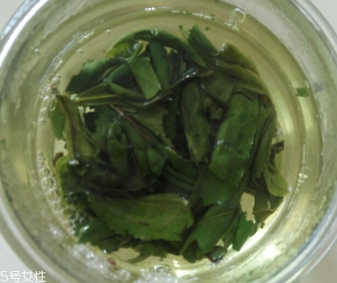 六安瓜片是紅茶還是綠茶？