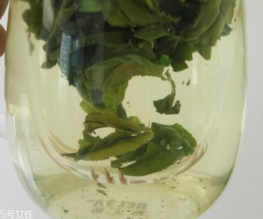 六安瓜片是紅茶還是綠茶？