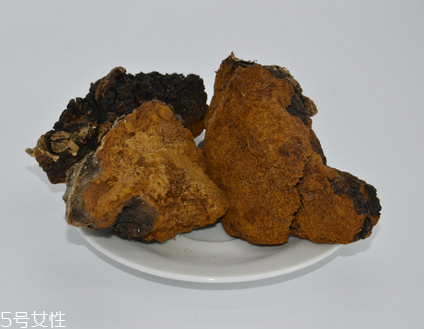 樺樹茸怎么泡水喝？樺樹茸泡水喝法
