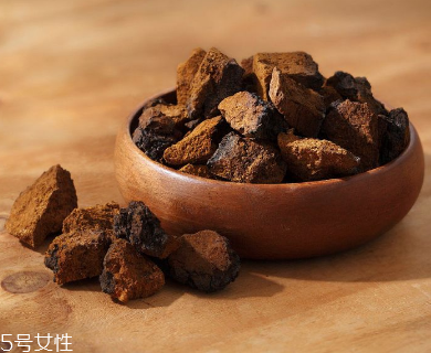 樺樹茸是中藥嗎？樺樹茸屬于中藥嗎