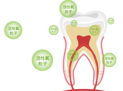 牙貼怎么分上下牙貼？牙貼怎么分正反