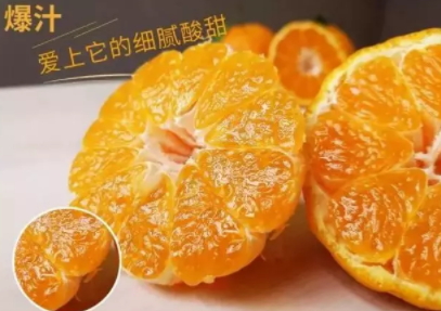 丑八怪可以放冰箱嗎？丑八怪怎么保存