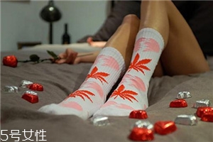 楓葉襪子正品多少錢(qián)？楓葉襪子價(jià)格詳情