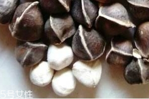 辣木籽味道 辣木籽甜還是苦？