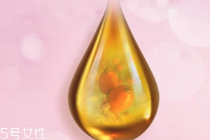 玫瑰果油可以天天用嗎？玫瑰果油多久用一次