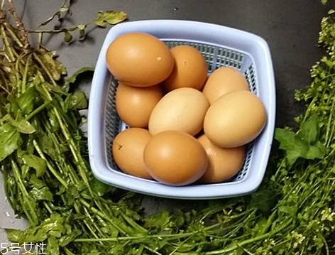 地菜花薺菜花煮雞蛋上午吃還是下午吃？