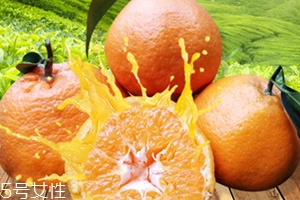 春見是什么水果？春見是丑八怪還是耙耙柑