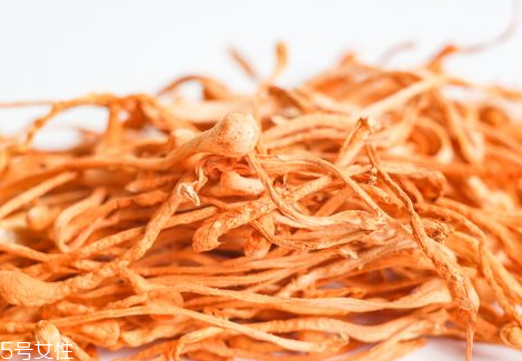 蟲(chóng)草花一次吃多少 蟲(chóng)草花泡茶用量