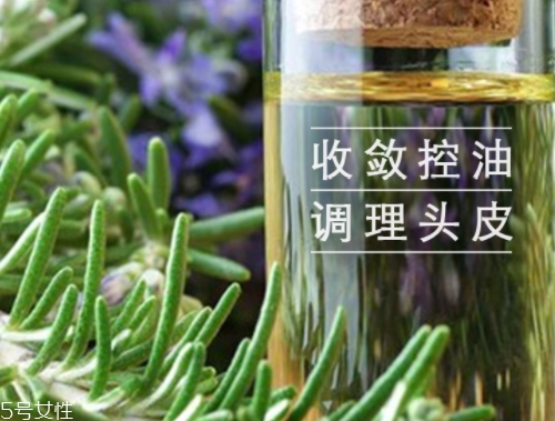 迷迭香精油怎么用？迷迭香精油使用注意事項