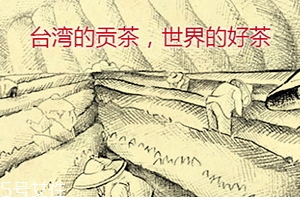 四云奶蓋貢茶哪個(gè)好喝？四云奶蓋貢茶點(diǎn)單攻略