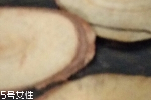 東革阿里是中藥嗎？東革阿里是什么？