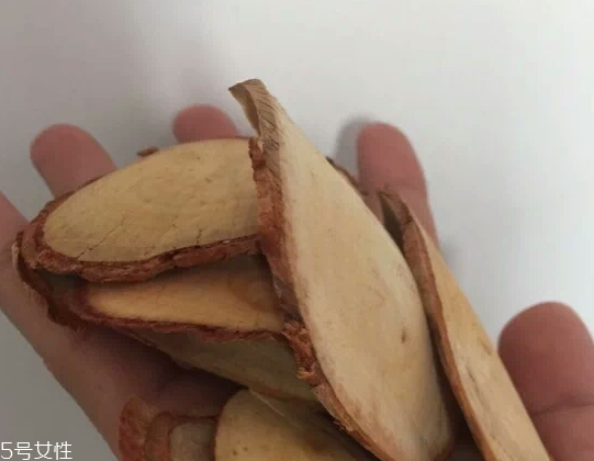 東革阿里是中藥嗎？東革阿里是什么？