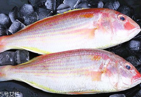 紅杉魚(yú)多少錢(qián)一斤2018 紅杉魚(yú)的挑選技巧