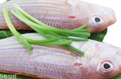 紅杉魚(yú)多少錢(qián)一斤2018 紅杉魚(yú)的挑選技巧
