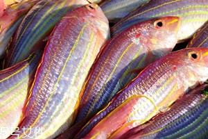 紅杉魚(yú)多少錢一斤2018 紅杉魚(yú)的挑選技巧