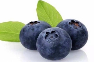 花青素是雌激素嗎？花青素是什么？