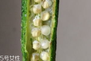 秋葵干好吃嗎？秋葵干怎么吃？