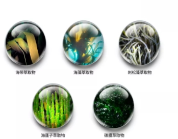 jm防曬噴霧孕婦可以用嗎？jmsolution防曬噴霧成分