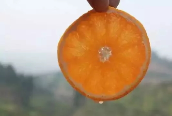 青見(jiàn)柑橘上火嗎？青見(jiàn)柑橘一天吃幾個(gè)好