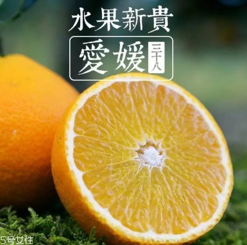 愛媛38號(hào)多少錢一斤？愛媛38號(hào)柑桔市場(chǎng)行情