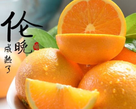 倫晚臍橙和夏橙哪個(gè)好？倫晚臍橙和其他橙子的區(qū)別