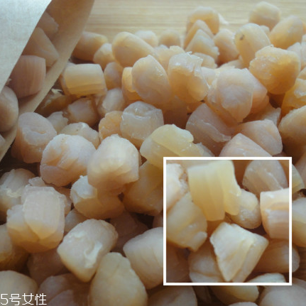 干貝是海鮮嗎？干貝是什么動(dòng)物做的？