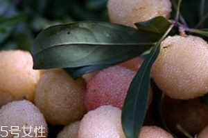 白楊梅好還是紅楊梅好吃？白楊梅和紅楊梅對比