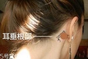 暈車貼貼哪里？暈車貼貼哪里示意圖