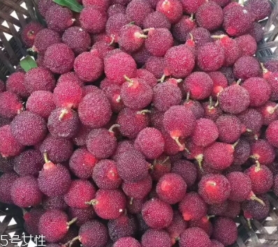 烏酥楊梅多少錢一斤？烏酥楊梅好吃嗎