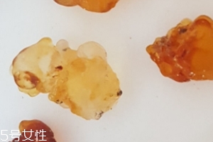 桃膠能生吃嗎？生吃桃膠可以嗎？