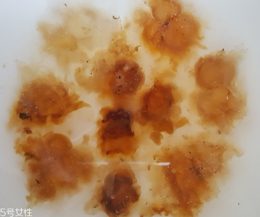 桃膠能生吃嗎？生吃桃膠可以嗎？