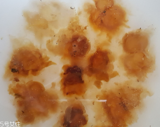桃膠可以用開水泡嗎？用開水泡桃膠好嗎？
