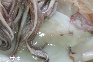 魷魚是烏賊嗎？魷魚跟烏賊是一種嗎？