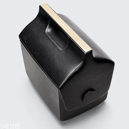 alexander wang與夢龍合作款包包多少錢_在哪買？