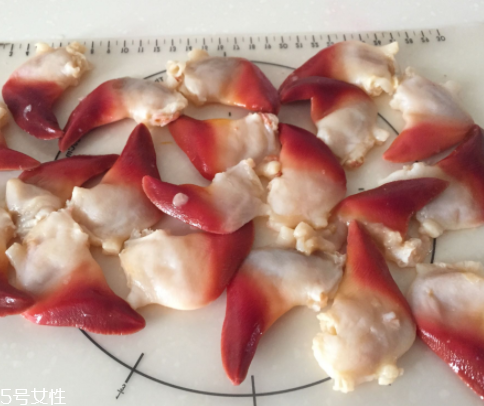 北極貝是海鮮嗎？北極貝介紹